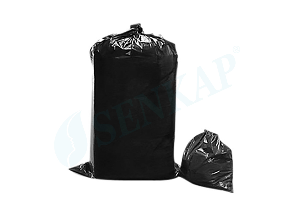 Plastic Bag (101x163)